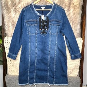 Calvin Klein Jeans Denim Jean Dress